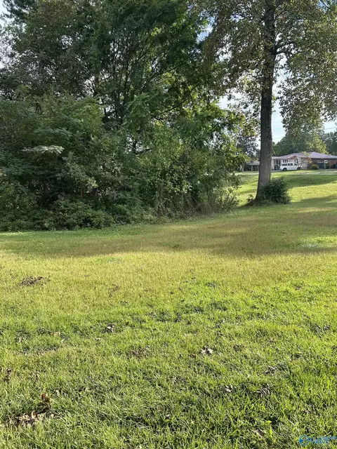 16-17 1 Jarmon Rd, Guntersville, AL 35976