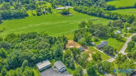 1679 County Road 358, Trinity, AL 35673 photo 46