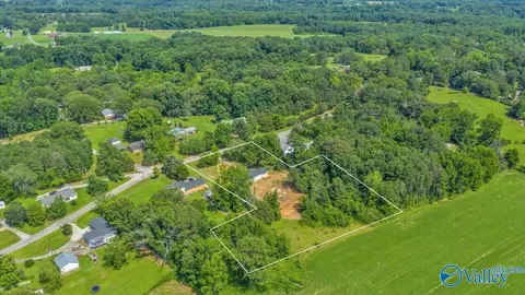 1679 County Road 358, Trinity, AL 35673 photo 39