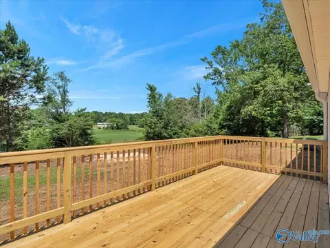 1679 County Road 358, Trinity, AL 35673 photo 37
