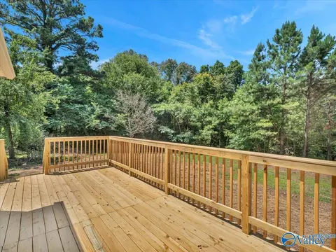 1679 County Road 358, Trinity, AL 35673 photo 38