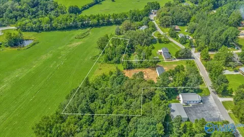 1679 County Road 358, Trinity, AL 35673 photo 43