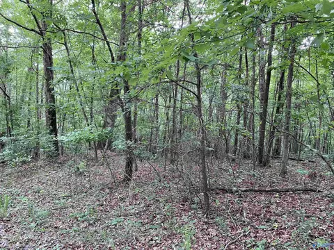 7 Bear Creek Trl, Fort Payne, AL 35967