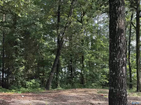 lot6 County Road 448, Centre, AL 35960