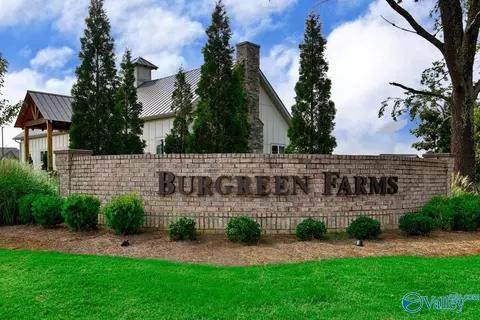 View/Area - 110 Whirlaway Dr, Madison, AL 35756 photo 3 of 3