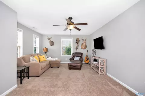 Other - 110 Whirlaway Dr, Madison, AL 35756 photo 2 of 4