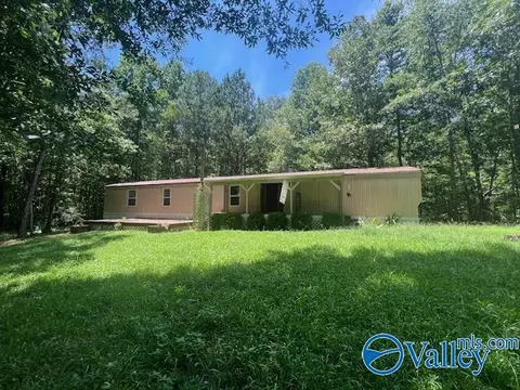 150 Arthur Dr, Ohatchee, AL 36271 photo 26