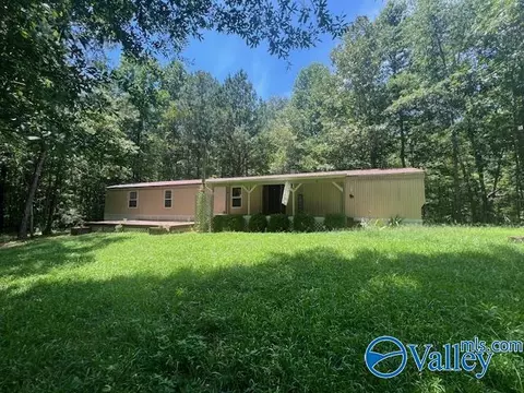150 Arthur Dr, Ohatchee, AL 36271 photo 22