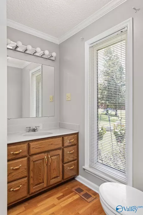 Bath - 96 Seneca Springs Dr, Trinity, AL 35673 photo 6 of 8