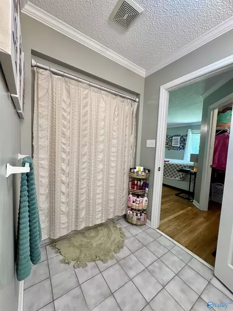 Bath - 96 Seneca Springs Dr, Trinity, AL 35673 photo 7 of 8