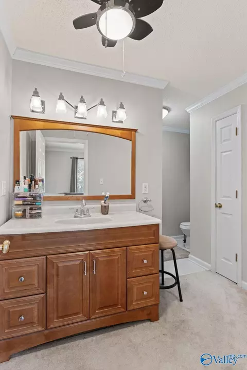 Bath - 96 Seneca Springs Dr, Trinity, AL 35673 photo 1 of 8