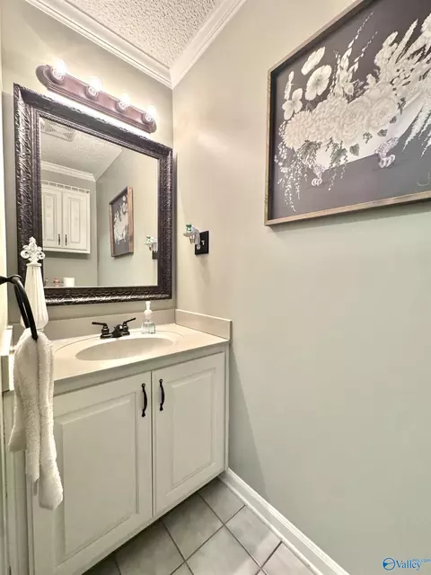 Bath - 96 Seneca Springs Dr, Trinity, AL 35673 photo 8 of 8