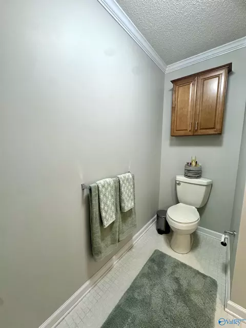 Bath - 96 Seneca Springs Dr, Trinity, AL 35673 photo 2 of 8