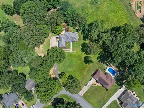 View/Area - 96 Seneca Springs Dr, Trinity, AL 35673 photo 3 of 3