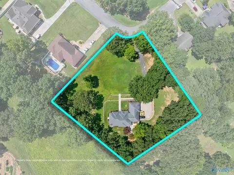 View/Area - 96 Seneca Springs Dr, Trinity, AL 35673 photo 2 of 3