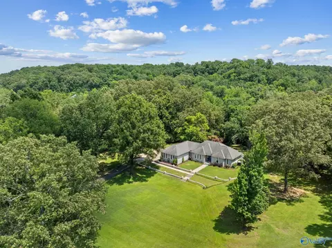 Other - 96 Seneca Springs Dr, Trinity, AL 35673 photo 1 of 5