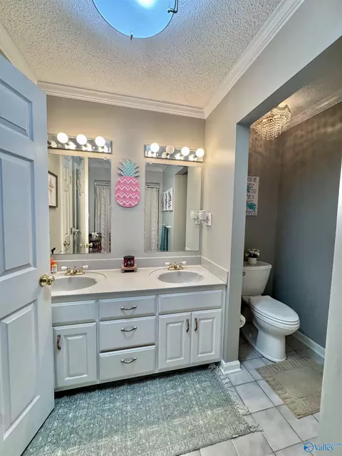 Bath - 96 Seneca Springs Dr, Trinity, AL 35673 photo 5 of 8
