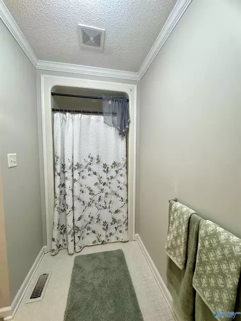 Bath - 96 Seneca Springs Dr, Trinity, AL 35673 photo 3 of 8