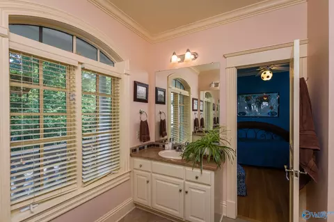 Bath - 367 N Mountain Dr, Trinity, AL 35673 photo 4 of 4