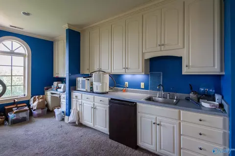 Other - 367 N Mountain Dr, Trinity, AL 35673 photo 9 of 9