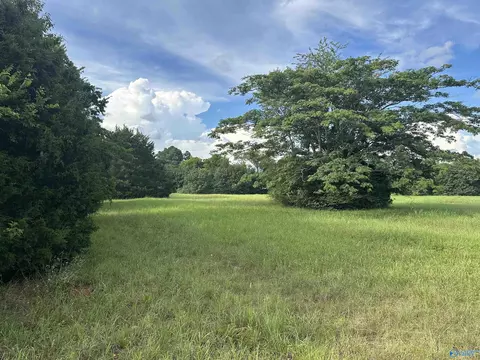 8 9 Acres Highway 31, Athens, AL 35611