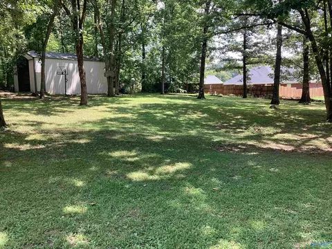 81 Sharon Ave, Trinity, AL 35673 photo 16