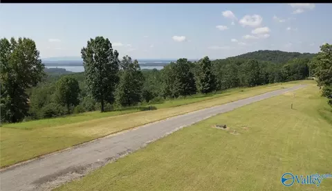 lot205 County Road 1022 # 205, Cedar Bluff, AL 35959