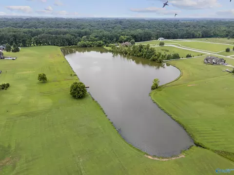 2021 County Road 111, Killen, AL 35645 photo 42