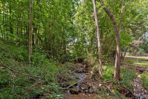 288 Hickory Park Rd, Killen, AL 35645 photo 35