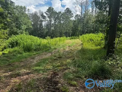 128 Savannah Cir, Cherokee Ridge, AL 35175