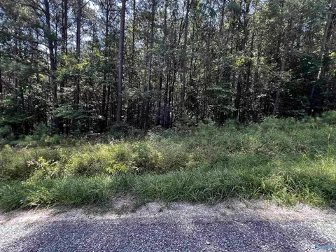 0 69 Acres County Road 592, Leesburg, AL 35983