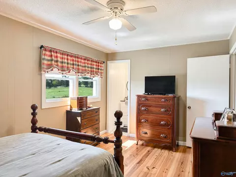 55 County Road 548, Trinity, AL 35673 photo 15