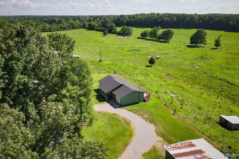 55 County Road 548, Trinity, AL 35673 photo 36
