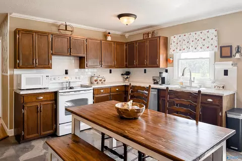 55 County Road 548, Trinity, AL 35673 photo 7