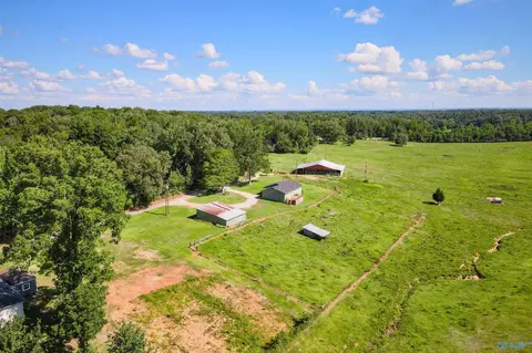 55 County Road 548, Trinity, AL 35673 photo 37