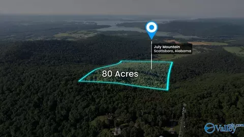 80 Acres Bella Vista Dr, Scottsboro, AL 35768