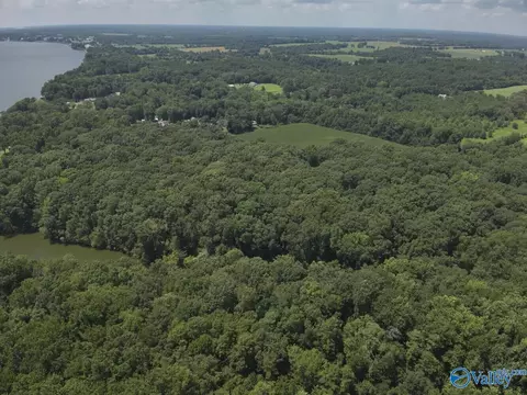 49 59 - Acres Snake Rd, Athens, AL 35611
