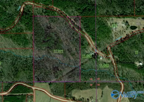 30 Ac County Road 469, Collinsville, AL 35961