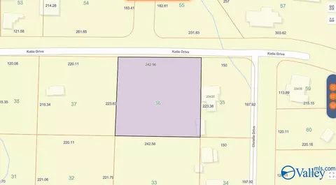 1 23 Acres Katie Dr, Toney, AL 35773