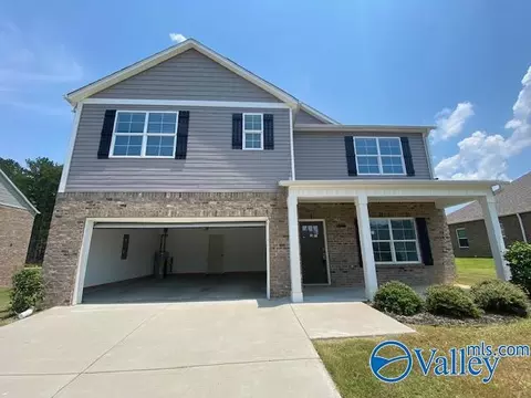 2425 Bluff Haven Ln, Hokes Bluff, AL 35903 photo 20