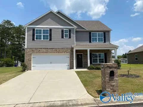 2425 Bluff Haven Ln, Hokes Bluff, AL 35903 photo 1