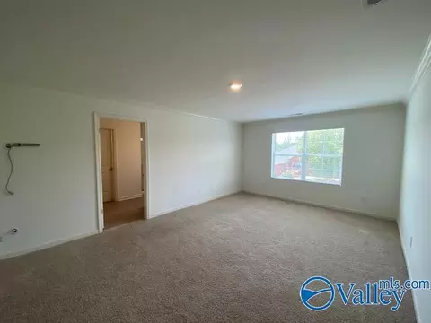 2425 Bluff Haven Ln, Hokes Bluff, AL 35903 photo 9