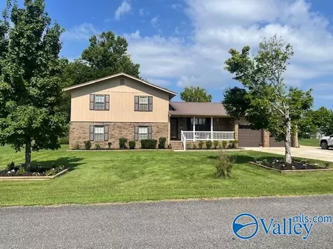 203 Hannah Ave, Attalla, AL 35954
