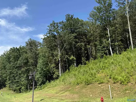 lot80 Boathouse Dr, Guntersville, AL 35976