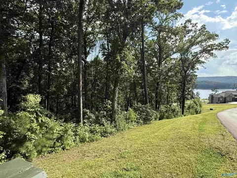 lot110 Boathouse Dr, Guntersville, AL 35976