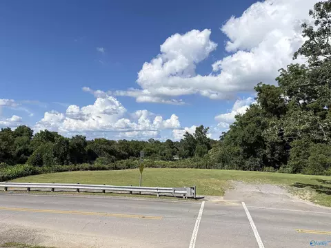 lot S 1-4 8th St, Bridgeport, AL 35740