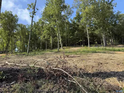 39 Acres County Road 594, Leesburg, AL 35983