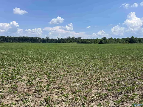 90 Acres County Road 125, Moulton, AL 35650