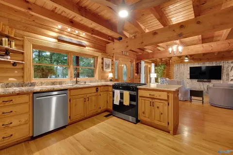 Kitchen - 1255 County Road 642, Cedar Bluff, AL 35959 photo 6 of 6