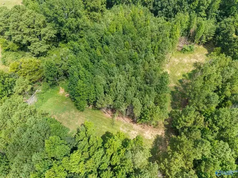 View/Area - 237 Shadowfax Farm Rd, Grant, AL 35747 photo 3 of 6